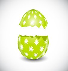 Beautiful Easter Egg Vector Illustration N4