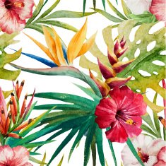 Sterlitzia tropical pattern N2