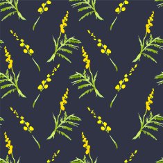 Sprig Mimosa Spring Watercolor Background