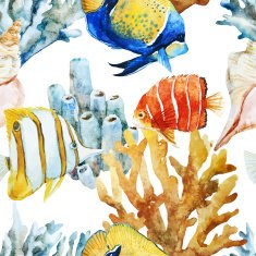 Nice fishes N2