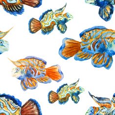 Nice fishes N4