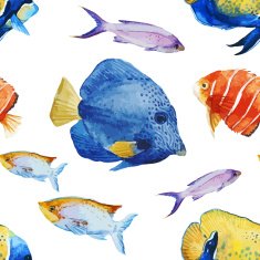 Nice fishes N6