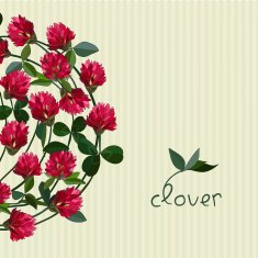 vector floral card N4