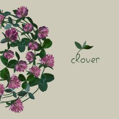 vector floral card N8