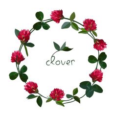 vector floral card N10