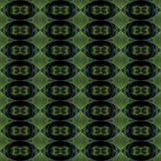 Fractals seamless texture N8