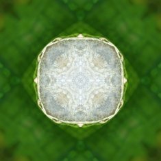 Green abstract pattern N36