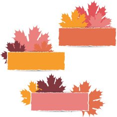 EPS10 Autumn maple leaves design Vector illustration