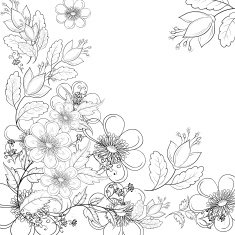 Flower background contours N2