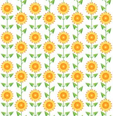 Seamless pattern sunflowers on white