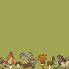 Seamless vector border of different mushrooms N7