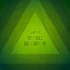 Vector Geometric Background Hipster theme Retro triangle template N2