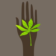 Green Leaf N15