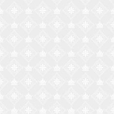 vintage background grey N12