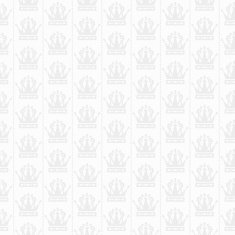 vintage background grey N13