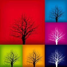 tree silhuettes