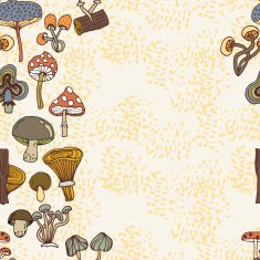 Seamless vector border of different mushrooms N9