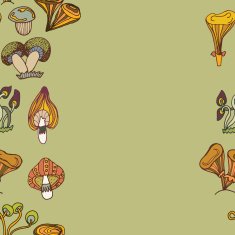 Seamless vector border of different mushrooms N10