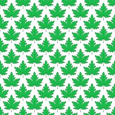Maple Leaf Pattern N3