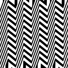 Striped graphic abstract zebra pattern Black and white Vector