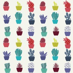 pattern of cactus house plants in pots N2
