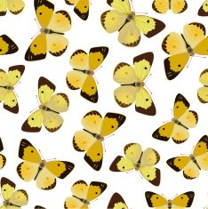 Vector Seamless Ornament N2