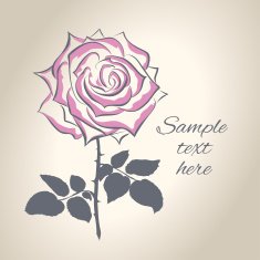 Hand drawing rose flower vector illustration