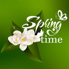 Typographic Design Lettering Spring design with butterflies N7