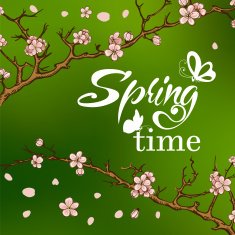 Typographic Design Lettering Spring design with butterflies N9