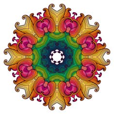 Mandala Beautiful hand drawn flower N5