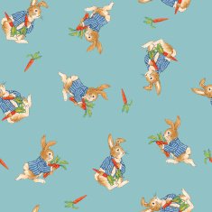 Pattern of rabbit N3
