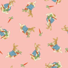 Pattern of rabbit N4