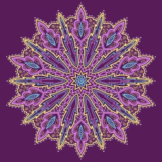 Mandala Beautiful hand drawn flower N8