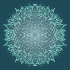 Mandala Beautiful hand drawn flower N9