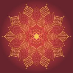 Mandala Beautiful hand drawn flower N10