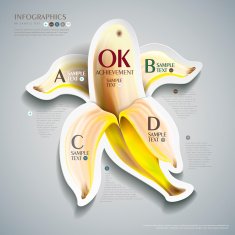 abstract banana infographics design N2