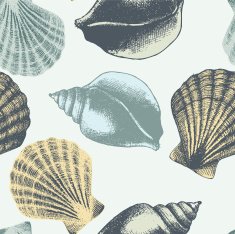 Hand drawn seamless pattern with sea shell