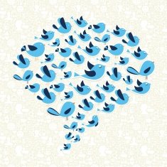 Social media birds bubble