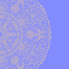 Vector ornament with place for text