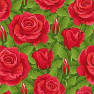 Seamless from roses