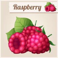 Detailed Icon Raspberry