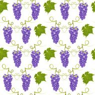 Seamless pattern grapes vector