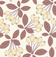 berries of dog rose N2