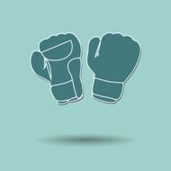 Boxing Gloves N23