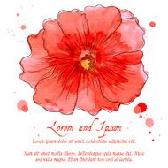 Watercolor design element hollyhock for the realization N4