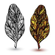 Decorative feathers N2