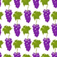 Seamless pattern grapes vector N2