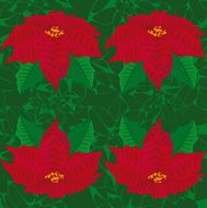 Seamless green background red flowers of poinsettia seamless pattern
