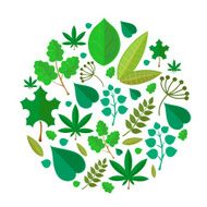 Green leaves abstract background illustration