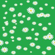 Seamless daisies background